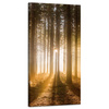 Canvas Print Sun in the Forest Light Tree 40x80 cm