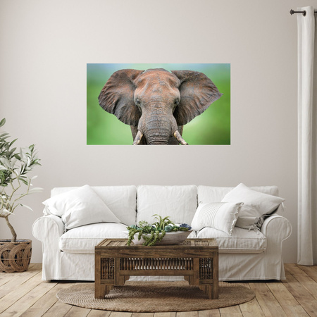 Canvas Print Elephant Face Tusks Gray Animal 100x80 cm