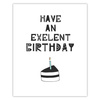 Have an excellent birthday poster 40X50 cm + silver frame