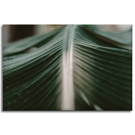 Canvas Print Nature Palm Leaf 90x60