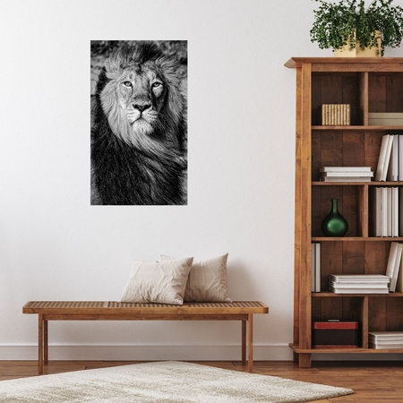 Canvas Print Grey Lion Mane Face Eyes 80x120 cm