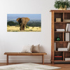 Canvas Print Elephant Africa Savannah Nature Art 100x80 cm