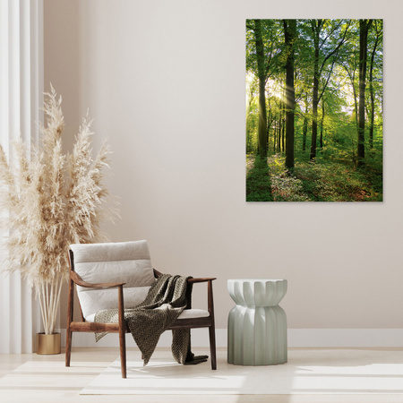 Canvas Print Sun Forest Trees Rays of Light 70x120 cm