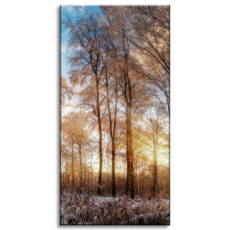 Canvas Print Trees Winter Rising Sun 60x120 cm