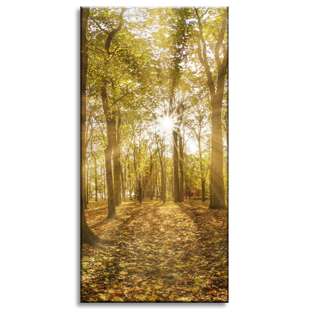 Canvas Print Sun Between Trees in the Forest 60x120 cm