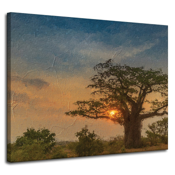 Canvas Print Sunset on the Savannah 100x80 cm