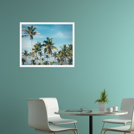 5x White Frame 40x50, I L13,15,063, Plexiglass