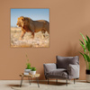 Canvas Print Walking Lion on Savannah Grass 40X40 cm
