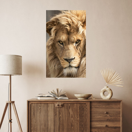 Canvas Print Terrible Beautiful Lion Brightness Animal 80x120 cm