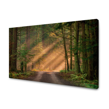 Canvas Print Path in the Forest Trees Nature 120x80 cm