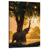 Canvas Print Posing Elephant Savannah Sunset 80x120 cm