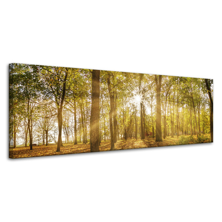 Canvas Print Sun Between Trees in the Forest 120x40 cm