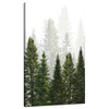 Canvas Print Rain Forest Nature Trees 70x120 cm