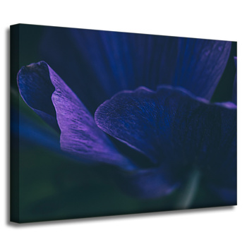 Canvas Print Botany Purple Petals 40x30 cm