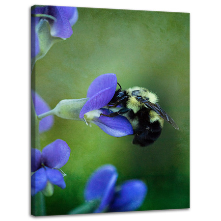 Canvas Print Botany Bee Flower 30x40 cm