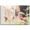 Canvas Print Nature Insect Butterfly Flowers Spring Summer 90x60