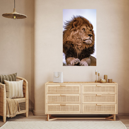 Canvas Print Head Lion Mane Wildness 40x50 cm
