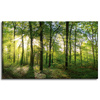 Canvas Print Sun Forest Trees Rays of Light 100x60 cm