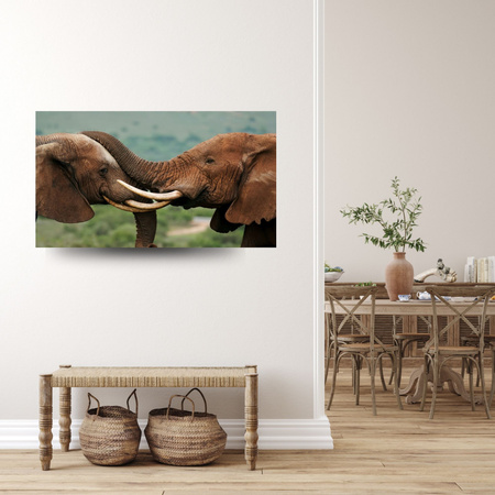 Canvas Print Elephant Couple Close Together Nature Beauty of Nature 100x80 cm