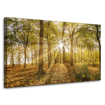 Canvas Print Sun Between Trees in the Forest 100x60 cm