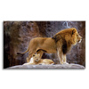 Canvas Print Pair of Lions on Rock Mountains Nature 100x80 cm