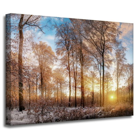 Canvas Print Trees Winter Rising Sun 40x30 cm