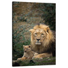 Canvas Print Lion and Lion Cub Nature Trees Nature 80x120 cm
