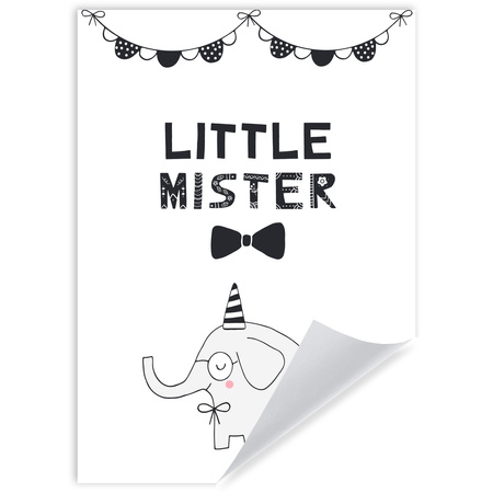 Little mister Birthday Poster 50X70 cm