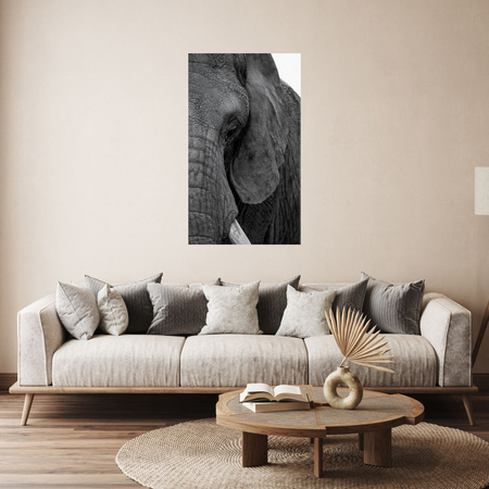 Canvas Print Gray Elephant Face Eye Animal 80x120 cm