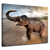 Canvas Print Elephant Water Clouds Nature Bath 100x80 cm