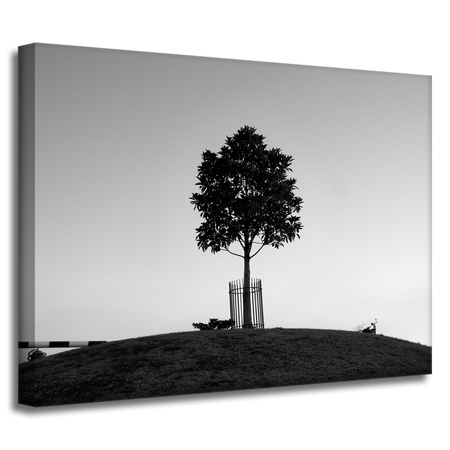 Canvas Print Nature Tree 40x30 cm