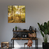 Canvas Print Sun Between Trees in the Forest 80X80 cm