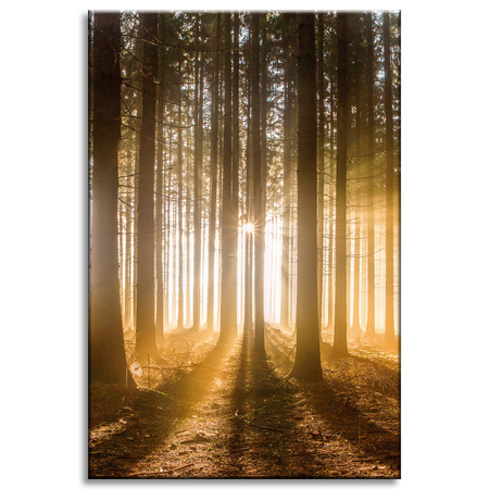 Canvas Print Sun in the Forest Light Tree 40x60 cm