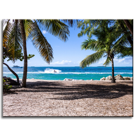 Canvas Print Nature Ocean Palm Trees 40x30 cm