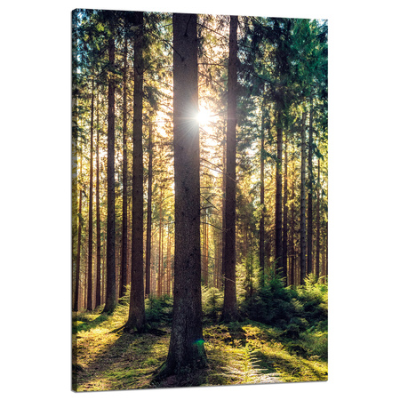 Canvas Print Forest Sun Trees Spring Morning 80x120 cm