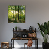 Canvas Print Sun Forest Trees Rays of Light 80X80 cm