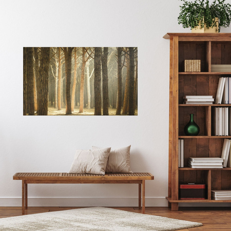 Canvas Print Trees Light Nature Forest 120x80 cm