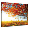 Canvas Print Beautiful Tree Red Leaves Autumn 100x80 cm
