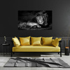 Canvas Print Dark Colors Lion Calm 100x80 cm