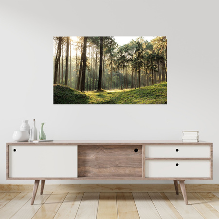 Canvas Print Forest Trees Sun Nature 100x80 cm