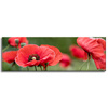 Canvas Print Botanical Red Poppies 120x40 cm Flowers Flora