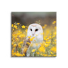 Canvas Print White Owl Flowers Nature Meadow 90x90