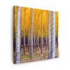 Canvas Print Birch Trees Autumn Yellow Leaves 50X50 cm