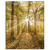 Canvas Print Sun Between Trees in the Forest 80x100 cm