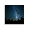 Canvas Print Space Night Forest Nebula 90x90