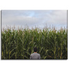 Canvas Print Nature Corn Field 40x30 cm