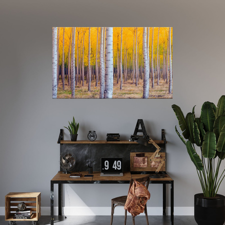 Canvas Print Birch Trees Autumn Yellow Leaves 40x30 cm