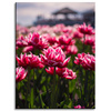 Canvas Print Botanical Tulips 30x40 cm