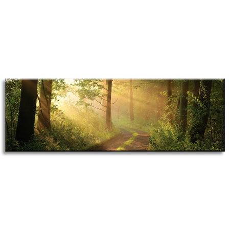 Canvas Print Sunlight Forest Path Nature 120x40 cm