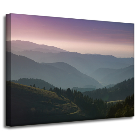Canvas Print Nature Road 40x30 cm